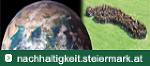 Globus und grüne Raupen symbolisieren Umweltbewusstsein und Nachhaltigkeit in der Steiermark.