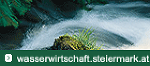 Eine Kehre eines Gebirgsbachs