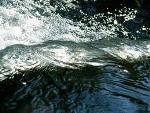 Wasser, Umwelt und Baukultur Wasser, Umwelt und Baukultur